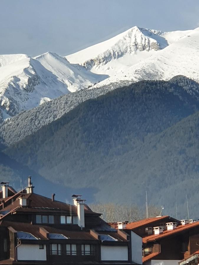 Simonen Apartments Near The Gondola 班斯科 外观 照片